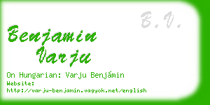 benjamin varju business card